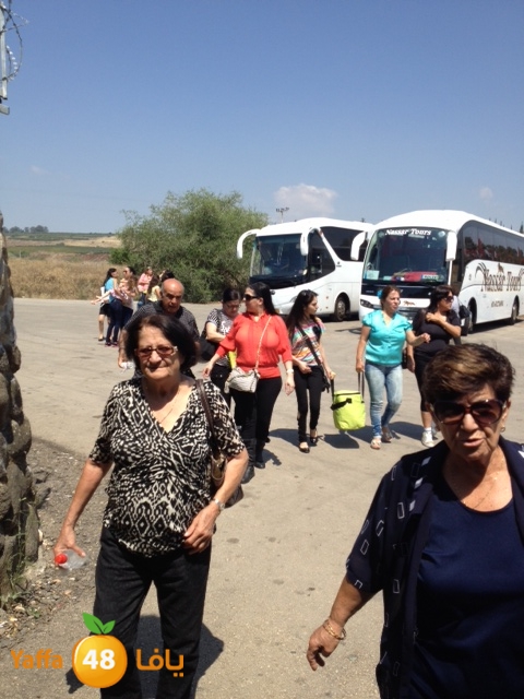 qostanteen 0531 (6).JPG